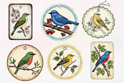 Bird Junk Journal Tags, Printable, an Illustration by Dream Creation (Thumbnail 5 of 5)