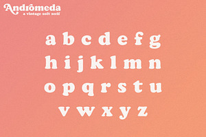 Andromeda // A Vintage Soft Serif