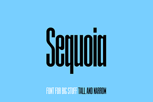 Sequoia