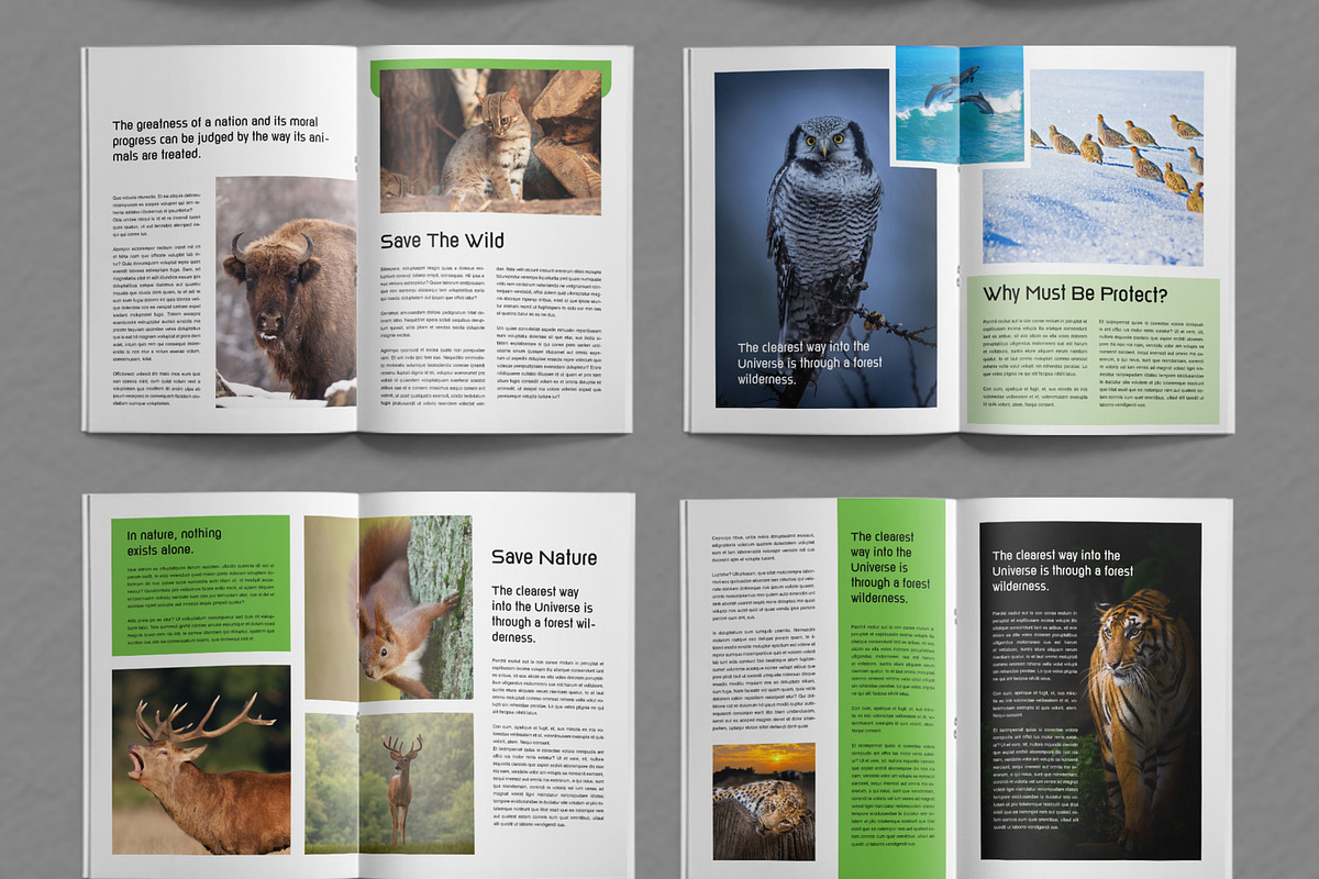 Wild Life Magazine Template, a Magazine Template by ContestDesign (Photo 4 of 4)