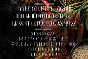 Hot Food | Script Font, a Script Font by Scratchones (Thumbnail 6 of 7)