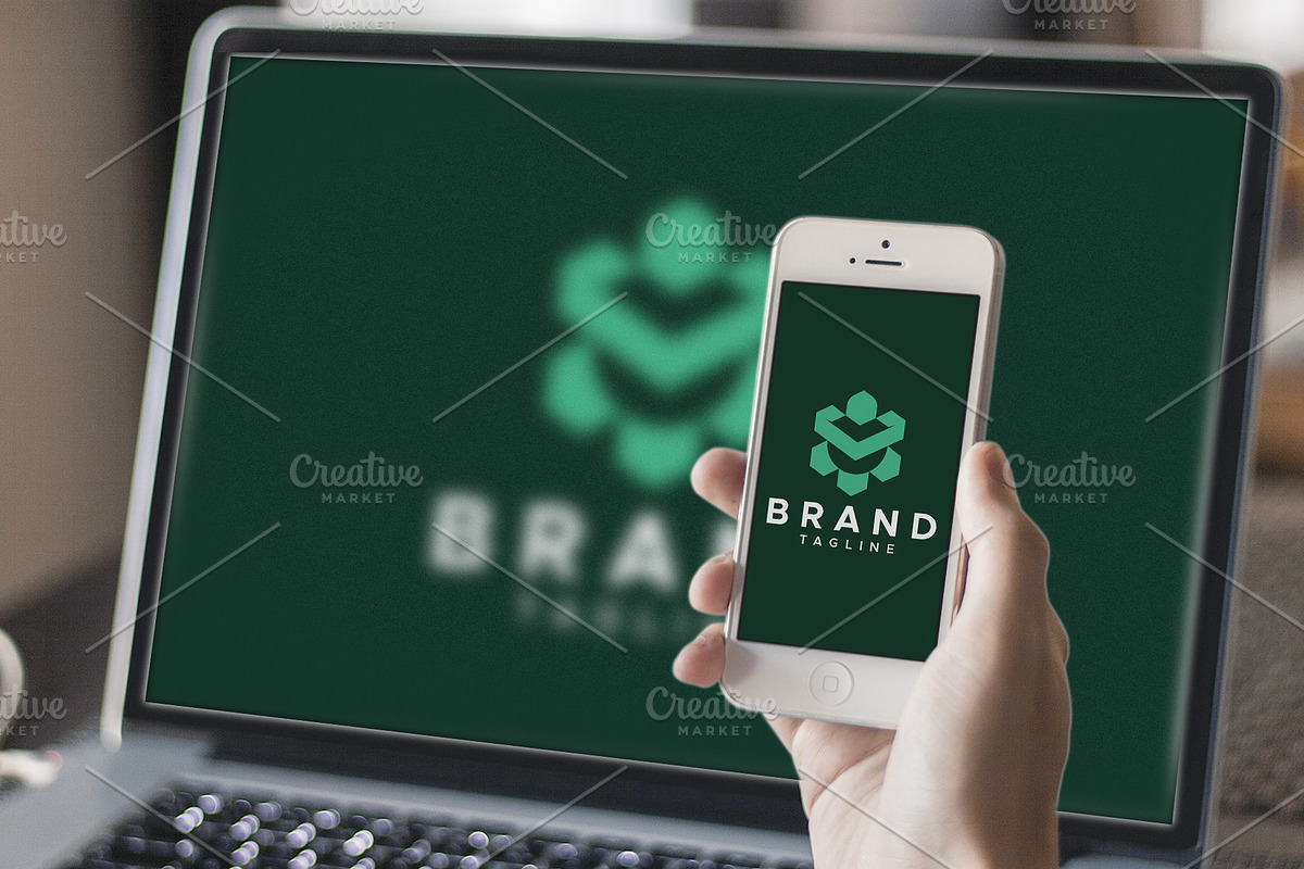 Turtle hexagon logo design, a Branding & Logo Template by Amadul11 (Photo 4 of 4)