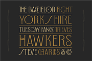 WT Bellochero, a Font by Winston Type Co. (Thumbnail 9 of 11)