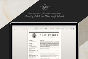 Clean Professional Word Resume