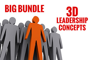 Big bundle of 3D leadership concepts