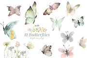 Spring Meadow Wildflower Collection, an Illustration by Kim Thoa Designs (Thumbnail 7 of 9)