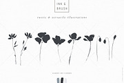 Ink botanicals, logos & patterns, a Texture Illustration by Lisa Glanz (Thumbnail 8 of 32)
