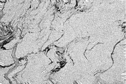 Warped Marble, a Texture Graphic by Jennifer Lauren Creative (Thumbnail 4 of 20)