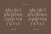 Roselight - Modern Elegant Display, a Serif Font by Qweera Studio (Thumbnail 11 of 12)
