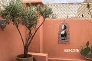 Orange Lightroom Mobile Presets, an Action Add-On by in between details (Thumbnail 6 of 12)