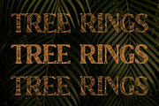 Tree Rings Font, a Sans Serif Font by OMG IT'S LINDZ (Thumbnail 2 of 6)