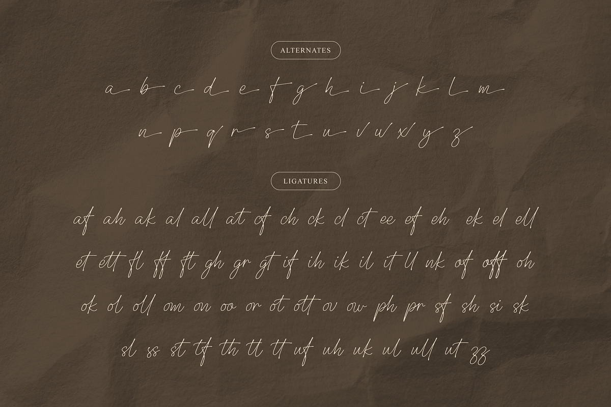 Hollywood Secret Script, a Script Font by Krismagraph (Photo 10 of 10)
