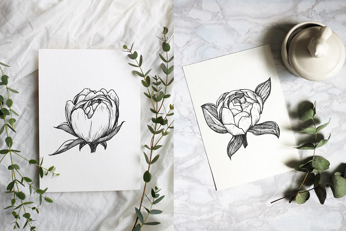 Peony illustrations | invitations, an Illustration by Chewie Co (Photo 13 of 13)
