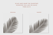 30 Botanical Shadow Overlays, a Mockup by Megs Lang (Thumbnail 5 of 8)