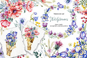 Watercolor wildflowers set, an Illustration by Artmanata (Thumbnail 1 of 26)