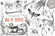 Bag of Bones | Vintage Clipart, a Seasonal Illustration by GVGraphics (Thumbnail 1 of 13)