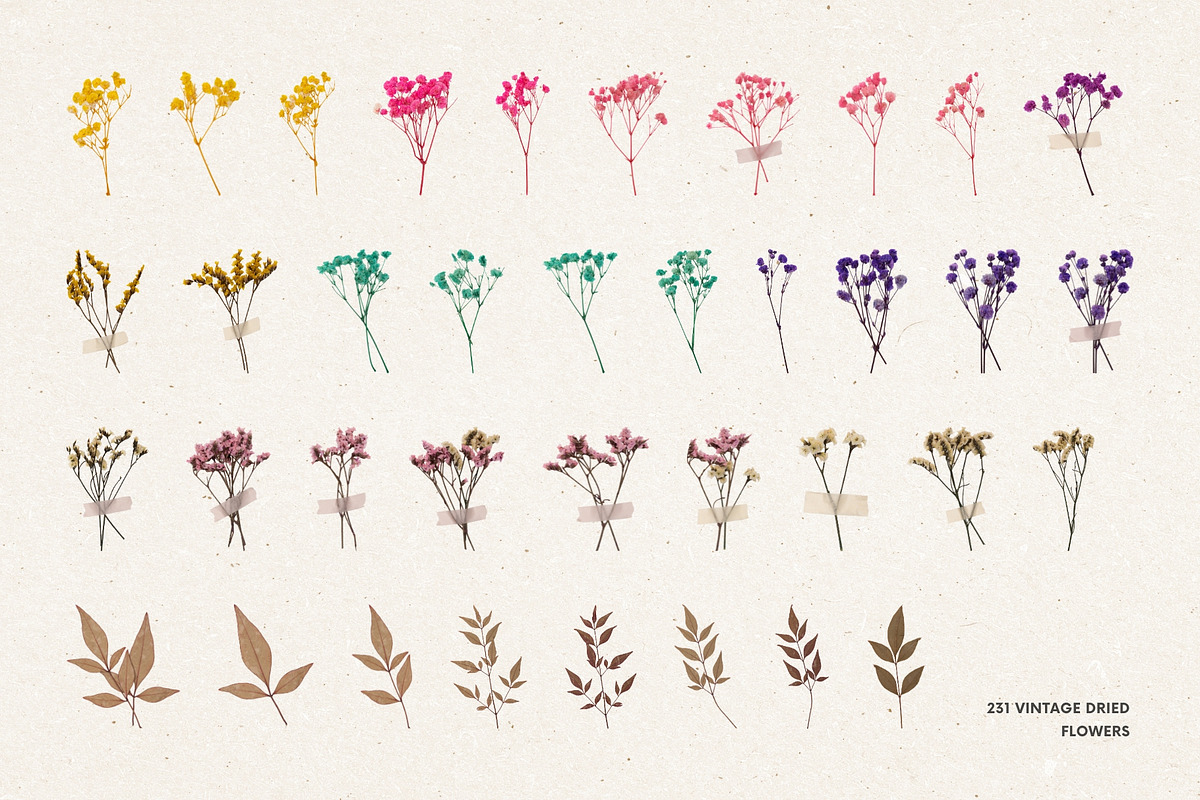231 Vintage Dried Flowers, an Object Graphic by Ksuview (Photo 6 of 8)