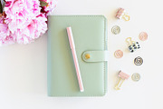 Pink peony stock photo bundle containing pink, peony, and fowers, a Business Photo by Savvy Stock Shop (Thumbnail 10 of 16)