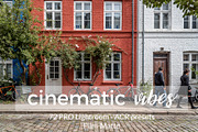 Cinematic Vibes Lightroom Presets, an Action Add-On by Architect´s eye (Thumbnail 2 of 6)