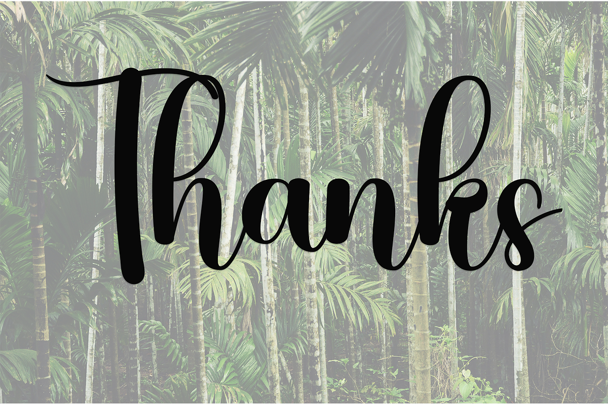 Jungle, a Handwritten Font by InermediaSTUDIO (Photo 8 of 8)