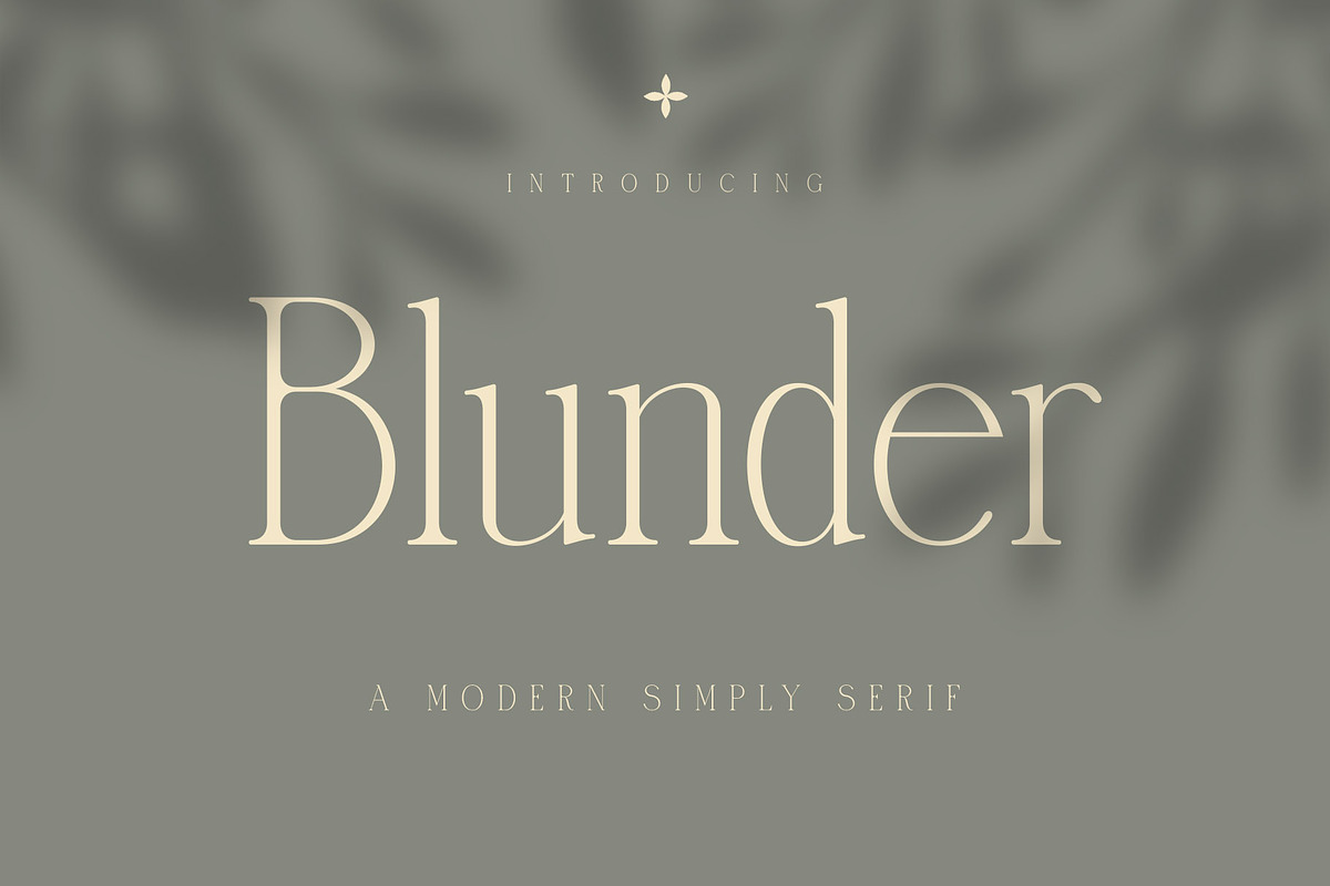 Blunder Modern Serif Typeface, a Serif Font by Alfinart (Photo 1 of 10)