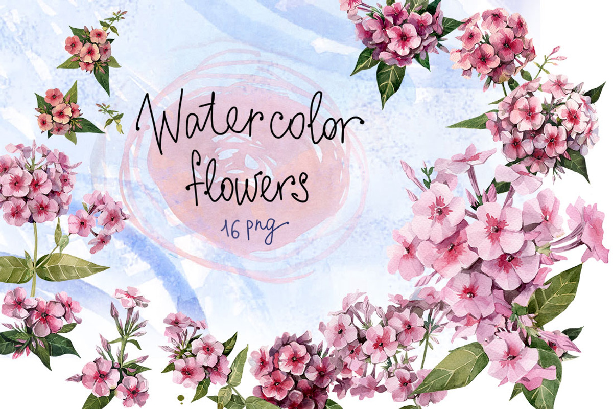 Watercolor flowers set (Phlox), a Texture Illustration by My art shop (Photo 1 of 2)