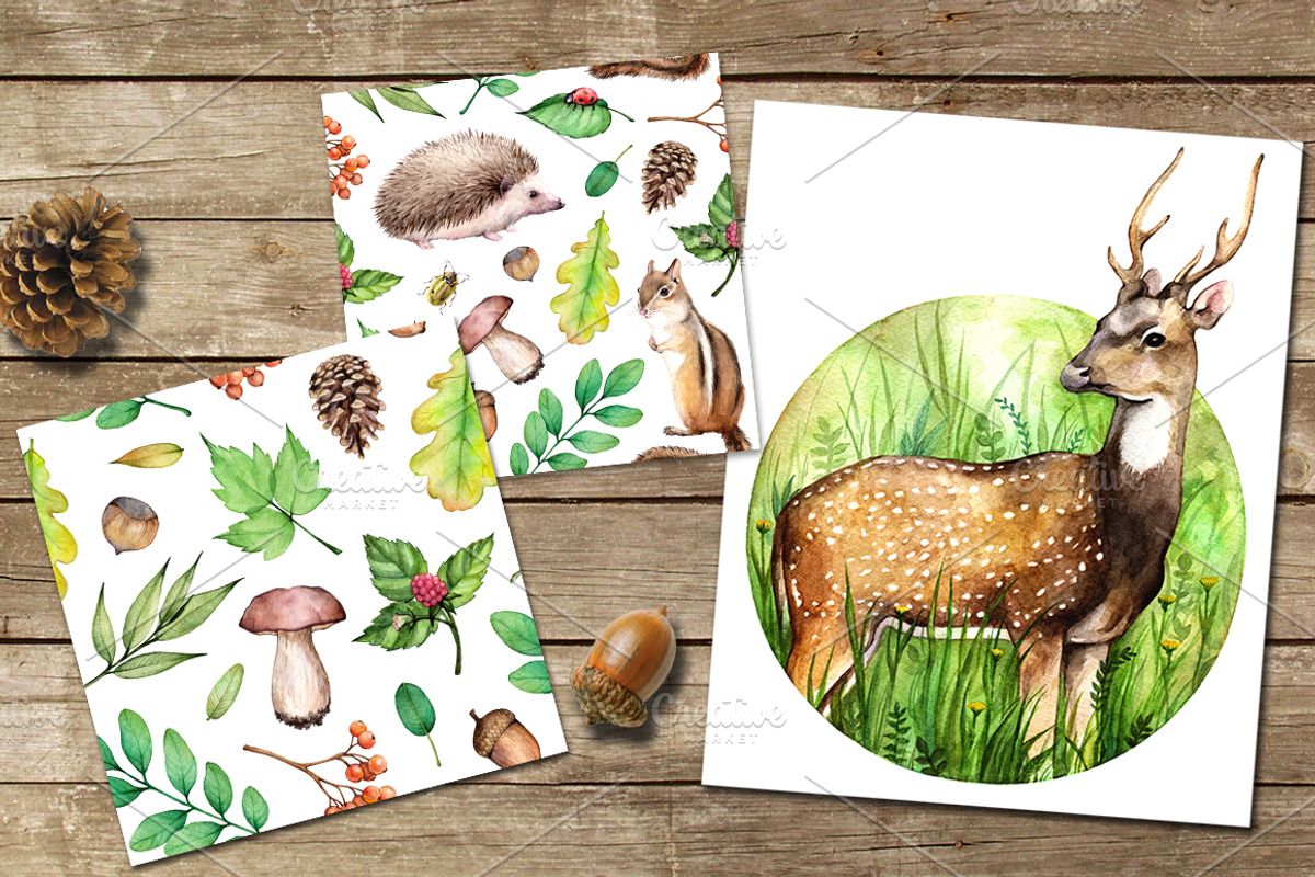 Forest life Watercolor set, an Animal Illustration by Green_leaf_17 (Photo 3 of 4)