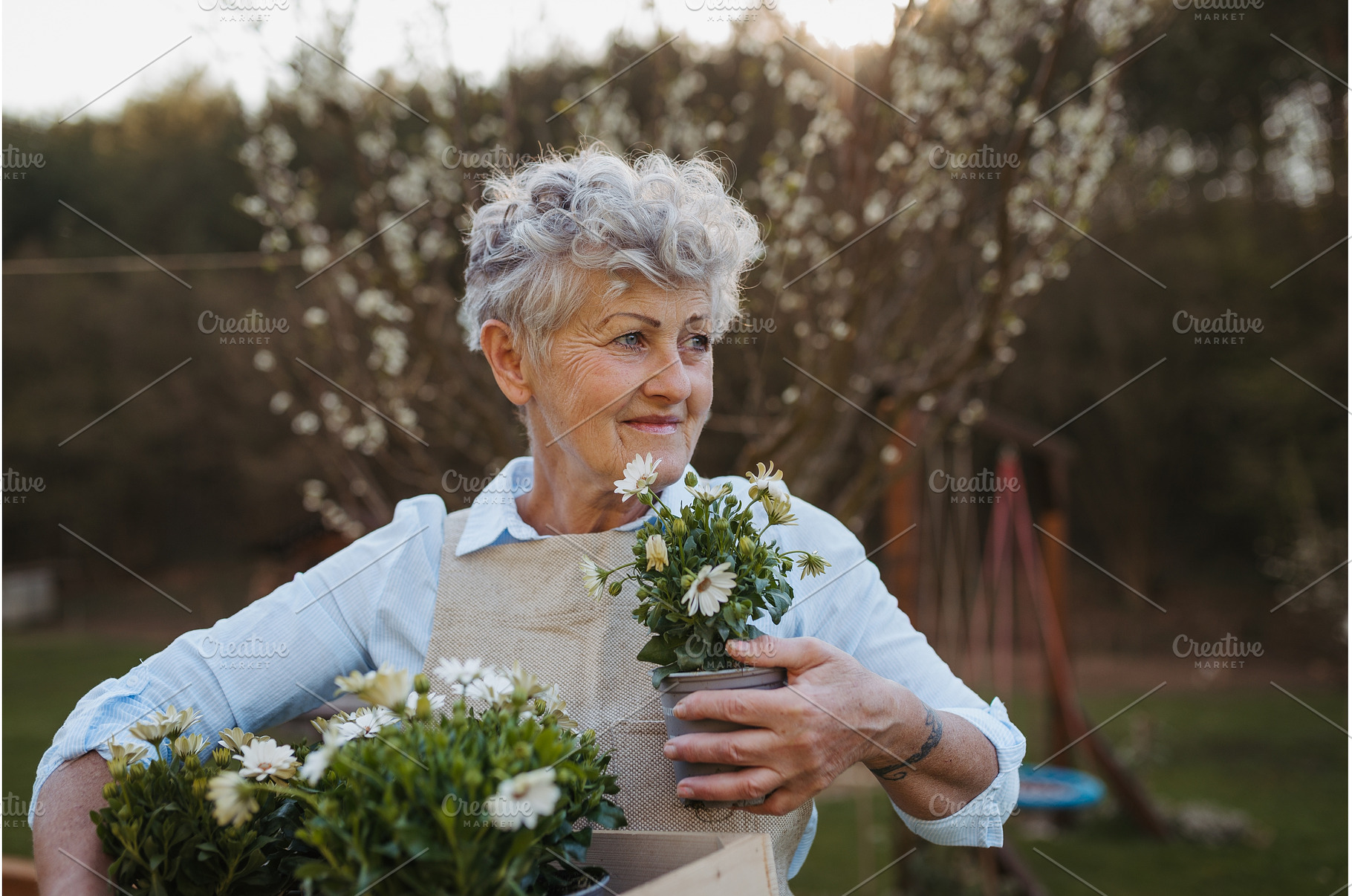 Senior woman gardening in spring, a Person Photo by HalfPoint