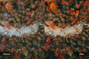 Nature Preset Pack 1