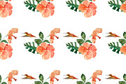 Hummingbird Gardens - Watercolor Set, an Illustration by amyxbao (Thumbnail 8 of 8)