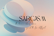 Moxa Bestine-Modern Decorative font, a Serif Font by ToniStudio (Thumbnail 9 of 11)