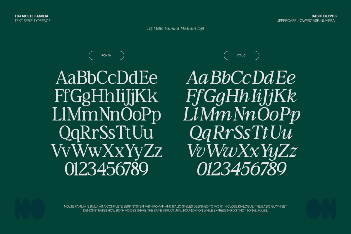 TBJ Moltefamilia Serif italic, a Serif Font by Taboja Studio (Photo 2 of 15)