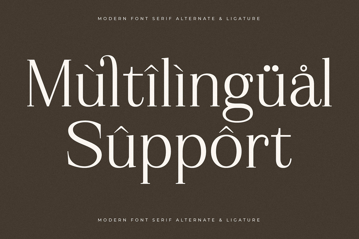 Gerislan Modern Font Serif, a Serif Font by Storytype Studio (Photo 12 of 15)