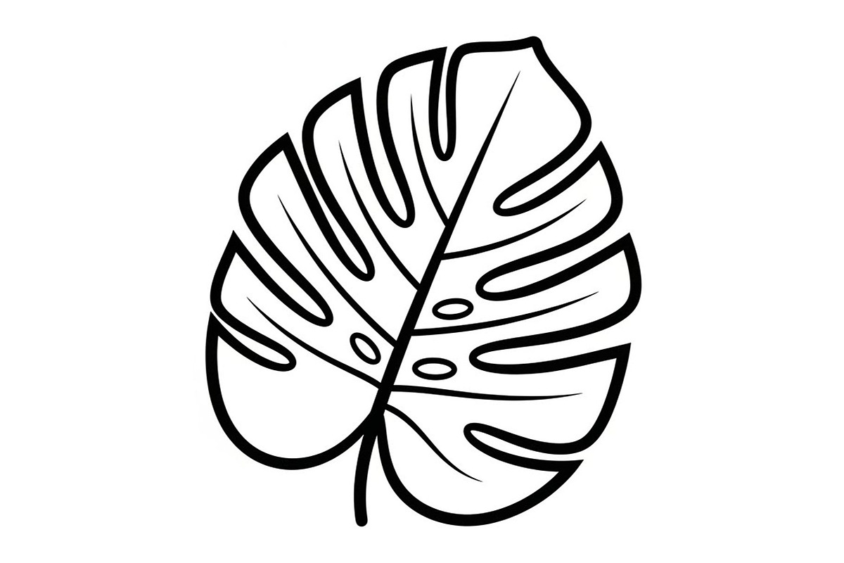 50 Floral Nature Vector Illustration, an Illustration by Gaye Art (Photo 33 of 51)