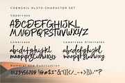 Mollita Olstd - Handwriting Script, a Script Font by Olexstudio (Thumbnail 6 of 7)
