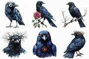 Watercolor Creepy Crow Clipart, an Illustration by Craft Nest (Thumbnail 3 of 6)