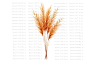 Dried Pampas Grass, a Decorative Illustration by Bloom Craft Creations (Thumbnail 10 of 10)