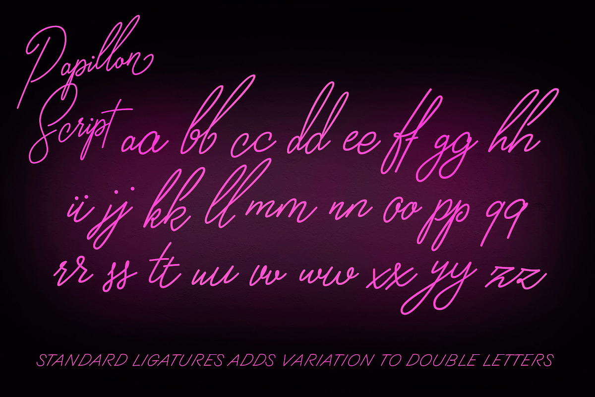 Papillon Signature Style Script preview 8