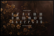 Brunelis Noctelle Display Serif Font, a Handwritten Font by gracetype_studio (Thumbnail 12 of 12)