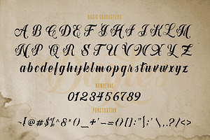 Dayles Script Fonts