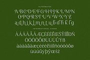 Blacindy Modern Serif Font, a Serif Font by Letterena Studios (Thumbnail 14 of 15)