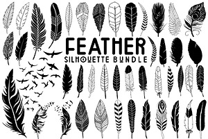 Birds Feathers Clipart Vector SVG