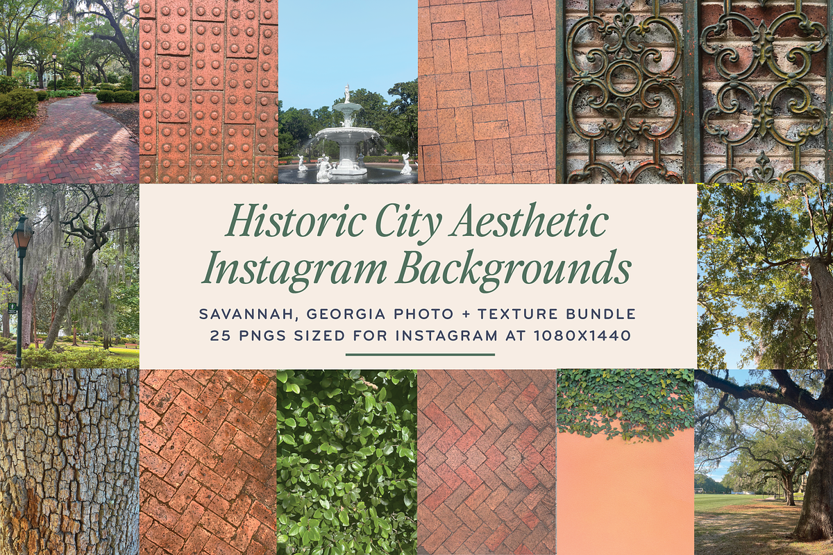 Savannah Aesthetic Stock & Textures, an Abstract Photo by Ashley Scott Designs (Photo 1 of 3)