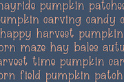 Harvest Hayride, Cute Serif Font, a Serif Font by Designing Digitals (Thumbnail 4 of 7)