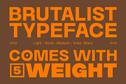 Borde - Brutalist Sans, a Sans Serif Font by The Native Saint Club (Thumbnail 4 of 14)