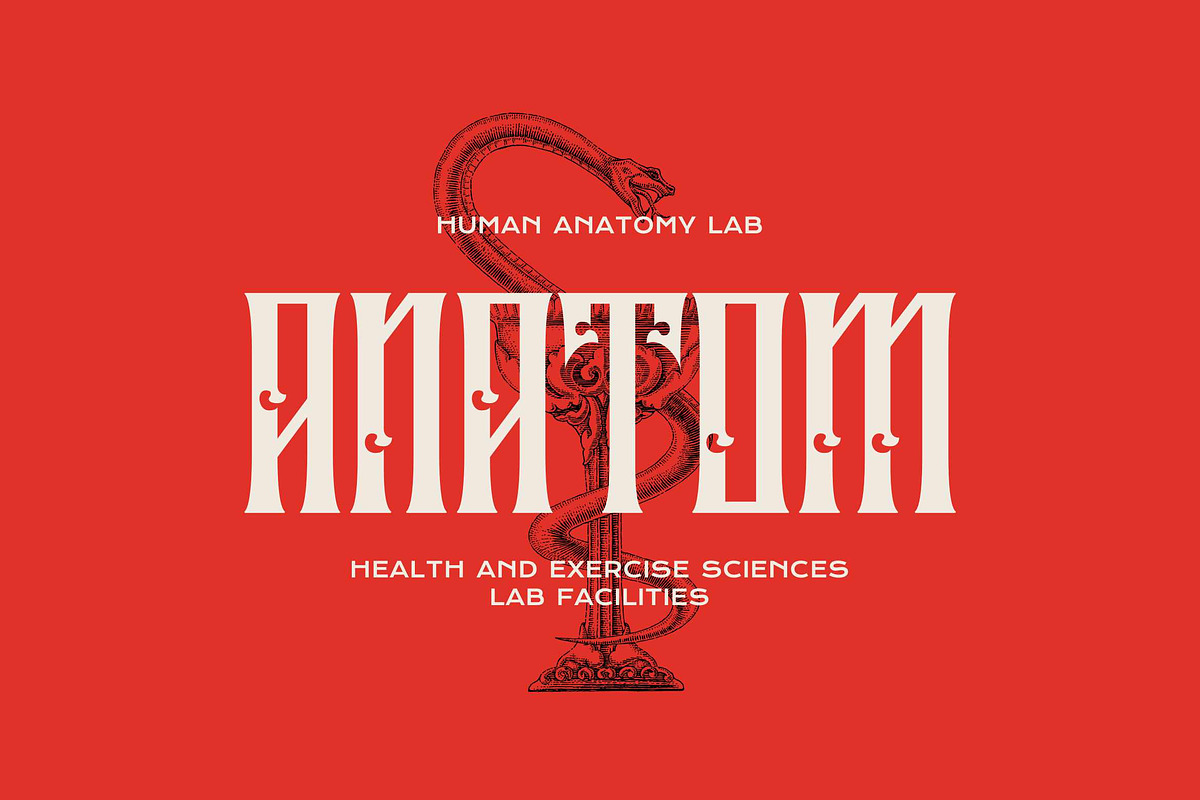 Liberok-Blackletter Display Font, a Blackletter Font by Fype Co. (Photo 4 of 6)