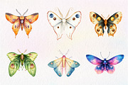Watercolor Butterfly Clipart, an Illustration by CreationArt (Thumbnail 8 of 9)
