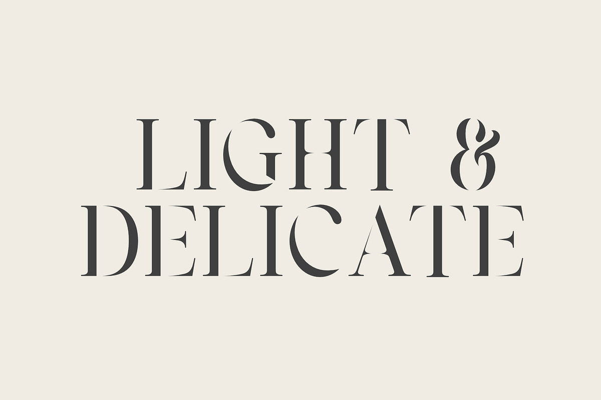 Vasmook, a Serif Font by Sealoung (Photo 2 of 15)