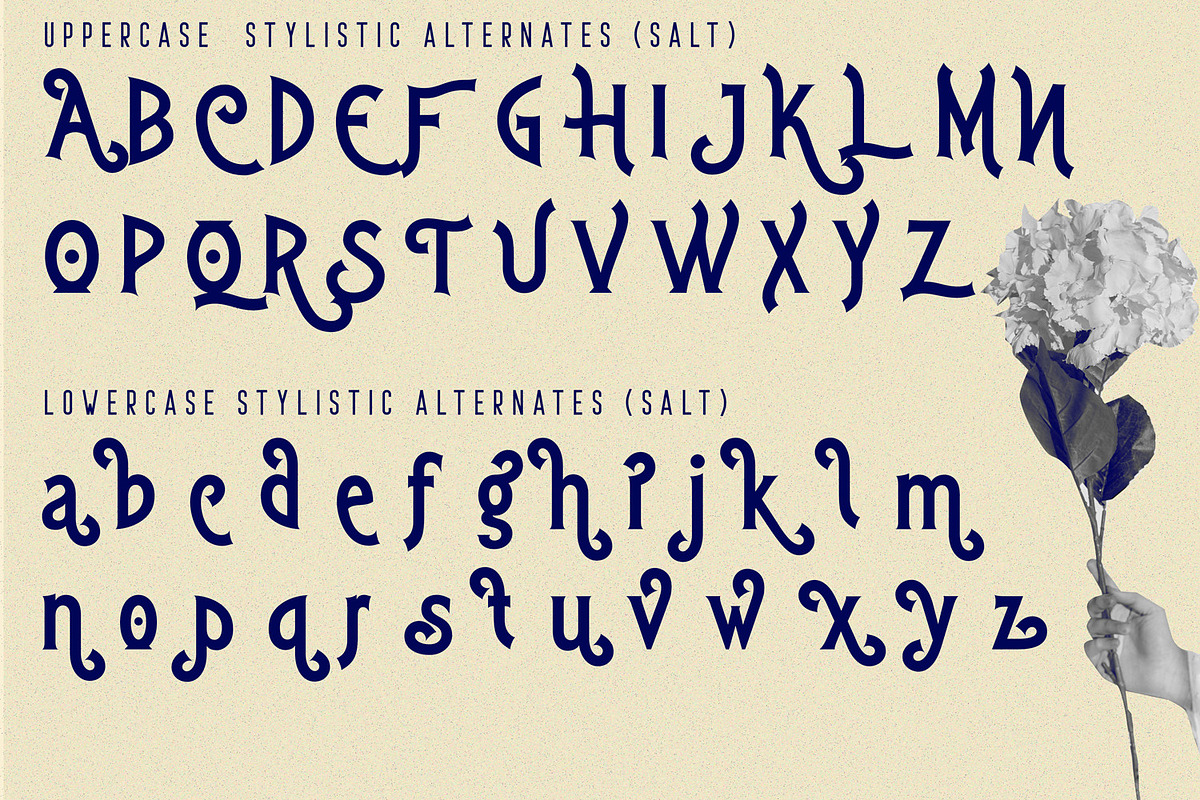 Hittamig - Aesthetic Serif Font, a Serif Font by 177Studio (Photo 5 of 6)