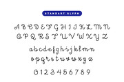 Blackyard Script & Sans - 40% off, a Script Font by vuuuds (Thumbnail 3 of 4)